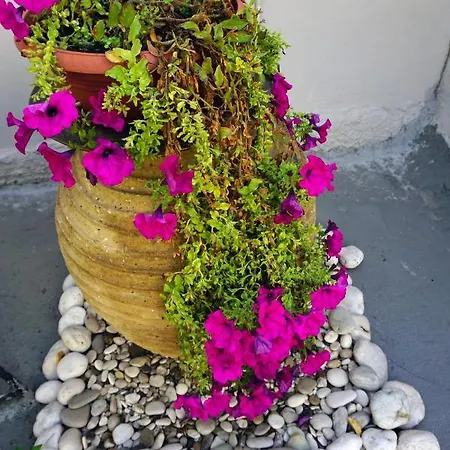 Casa de Campo Modern 10mins From The